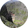 Visite de différents cratères et point de vue sur le Piton de La Fournaise durée 8h