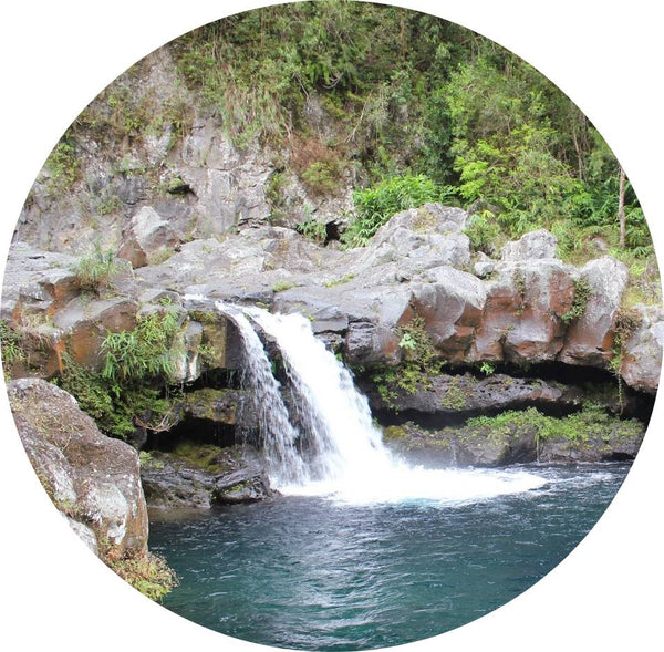 Journée autour de l'Île de La Réunion ; durée 8h