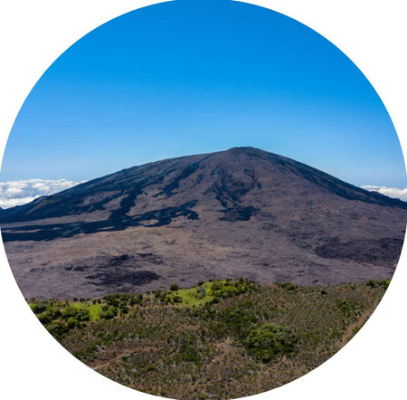 Visite de différents cratères et point de vue sur le Piton de La Fournaise durée 8h