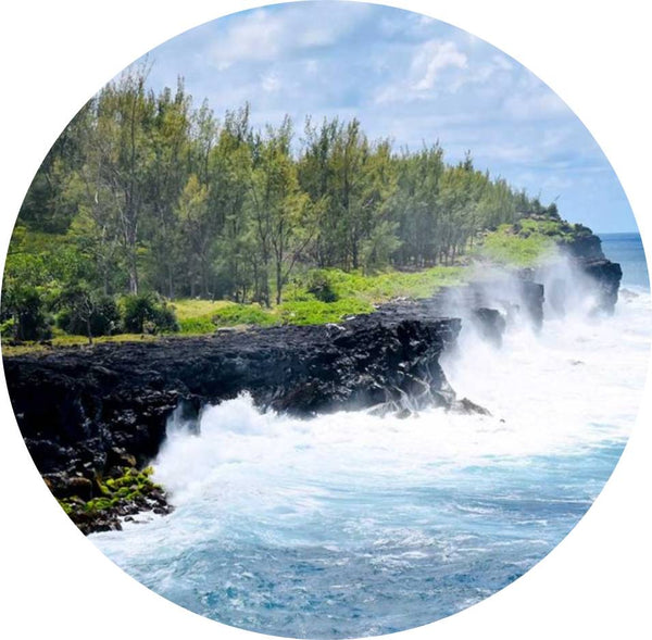 Journée autour de l'Île de La Réunion : visite des plus belles cascades et des monuments historiques durée 8h (paiement possible sur place)