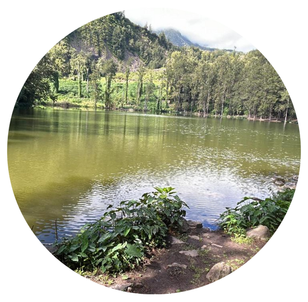 Excursion Salazie – À la découverte du cirque verdoyant